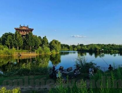 世界杯 比利时居然-世界杯奇迹，比利时居然夺冠之路